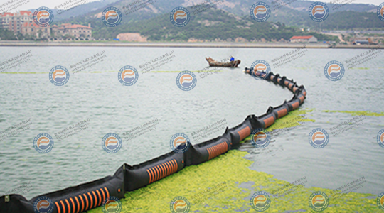 2008年7月，参加青岛海域浒苔防治工作